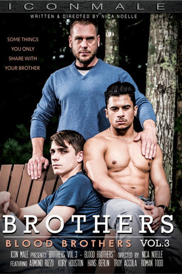 Brothers 3: Blood Brothers 海报
