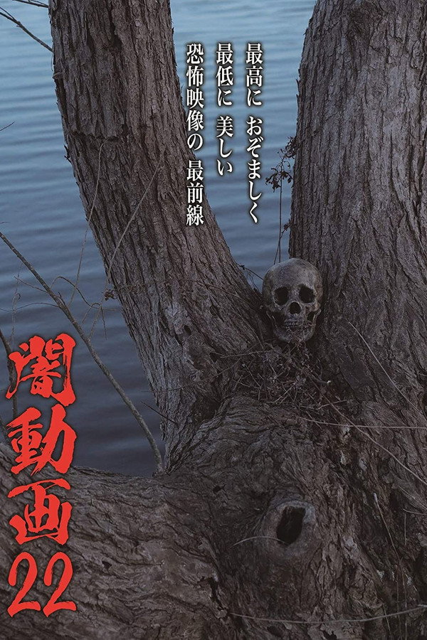 Tokyo Videos of Horror 22 poster