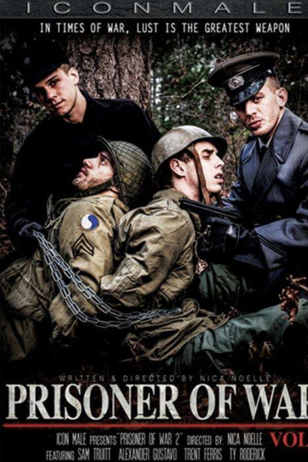 Prisoner of War 2 海报