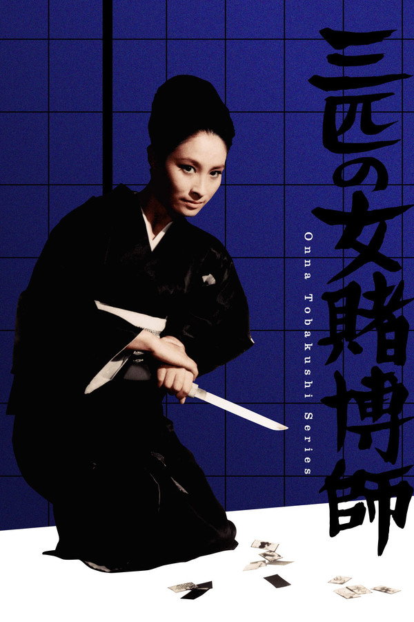 三个女赌徒 海报
