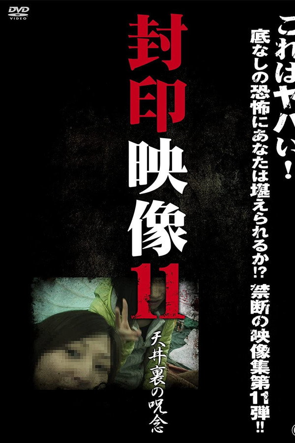 Sealed Video 11: Attic Curse poster