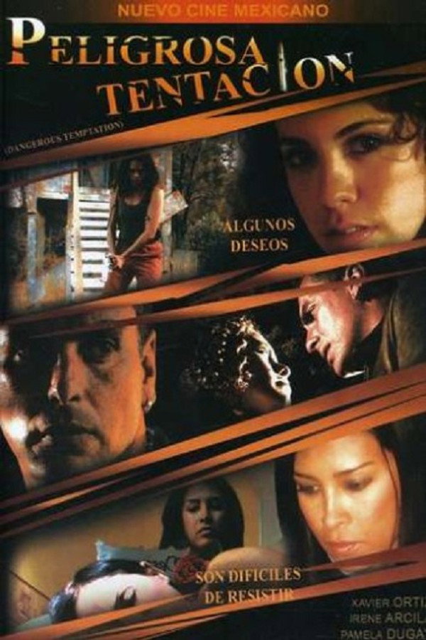 Peligrosa tentación poster