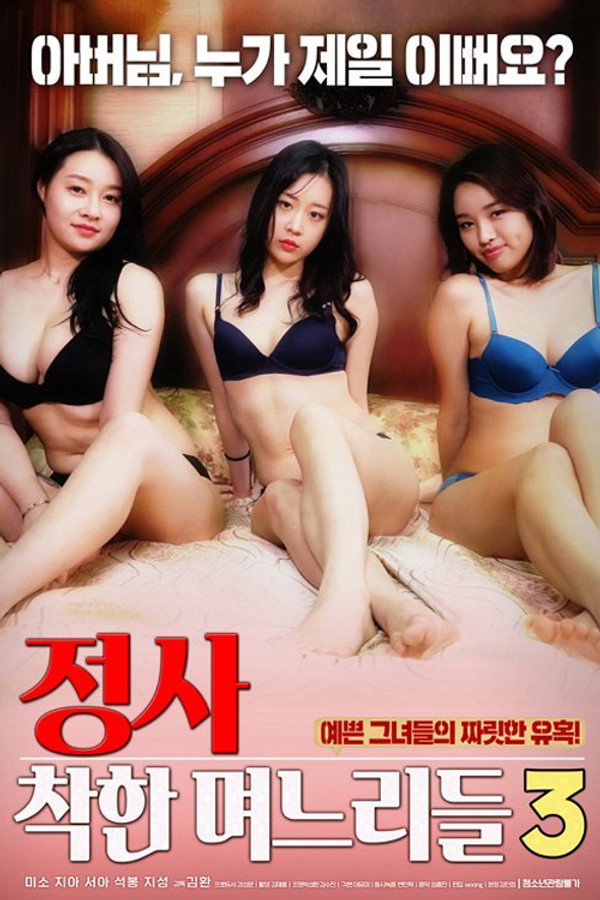 外遇：善良的儿媳 3 海报