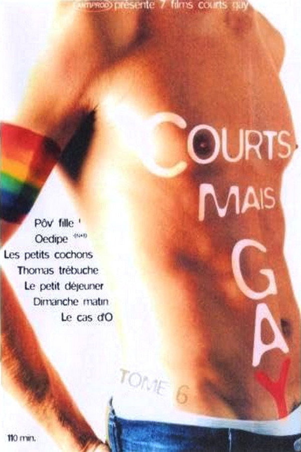 Courts mais Gay : Tome 6 海报