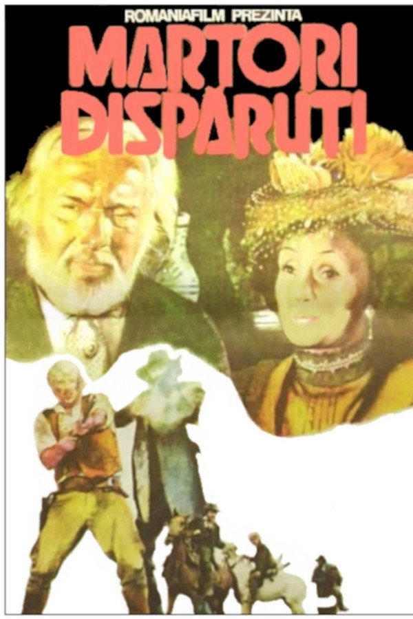 失踪的见证人 海报