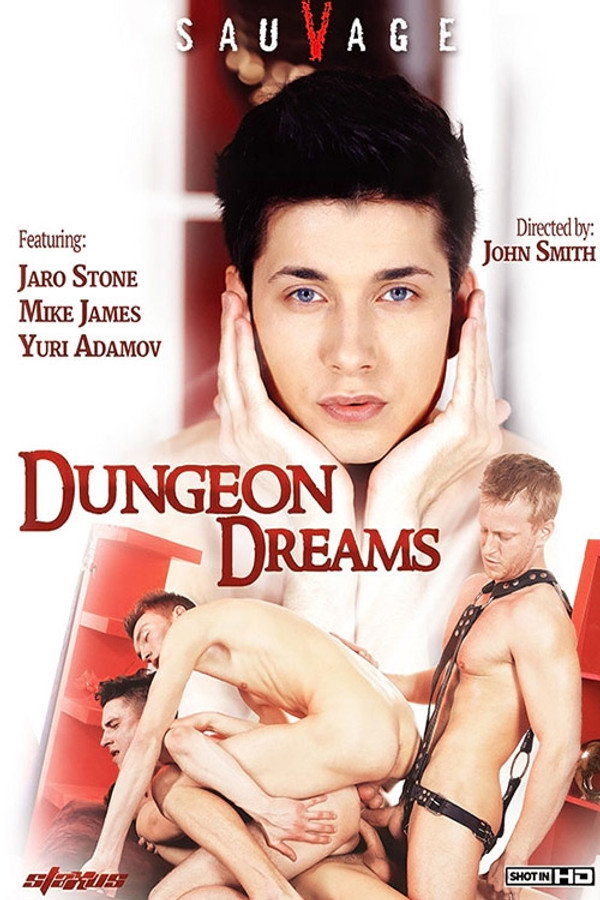 Dungeon Dreams 海报
