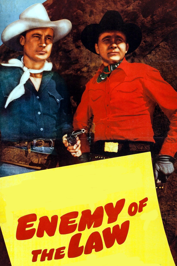 Enemy of the Law 海报