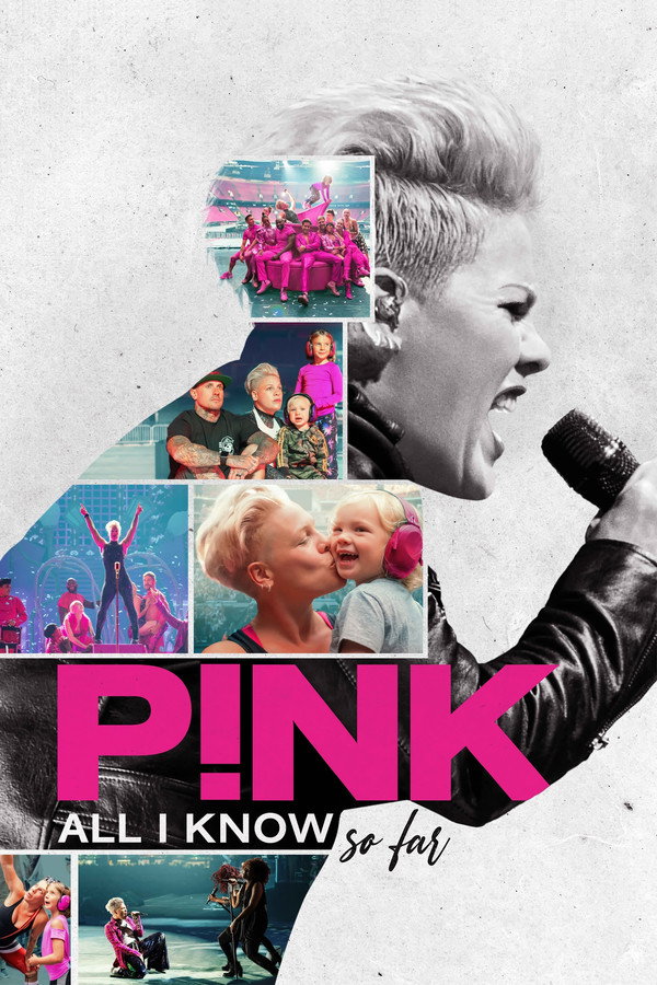 P!NK：我所知道的一切