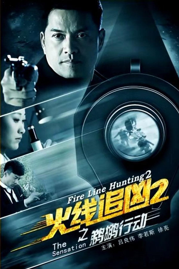 火线追凶2之鹈鹕行动 海报