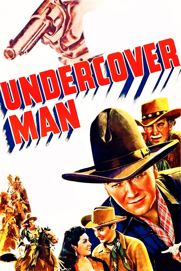 Undercover Man 海报
