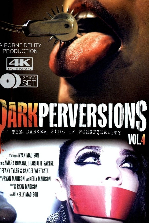 Dark Perversions 4 海报