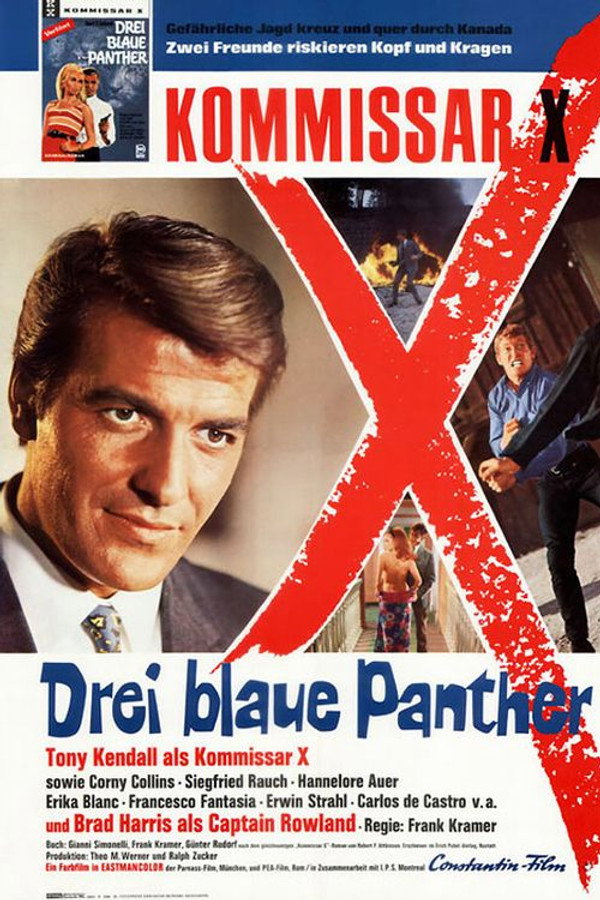 Kill, Panther, Kill! poster