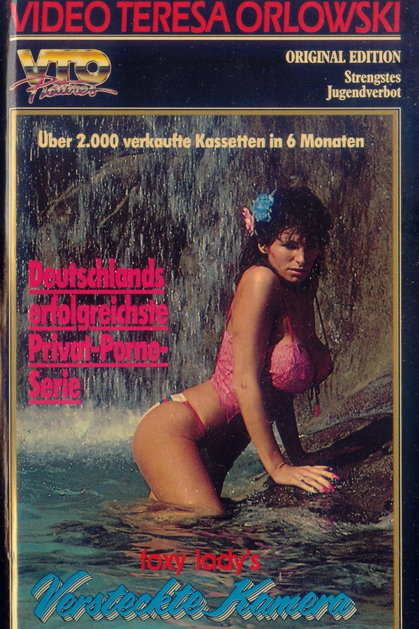 Foxy Lady's versteckte Kamera 2 海报