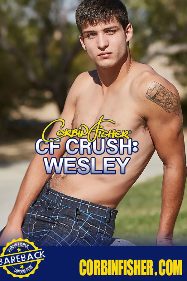 CF Crush: Wesley 海报
