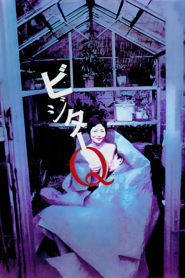 拜访者Q 海报