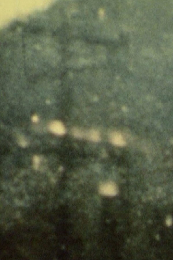 Song 28 poster