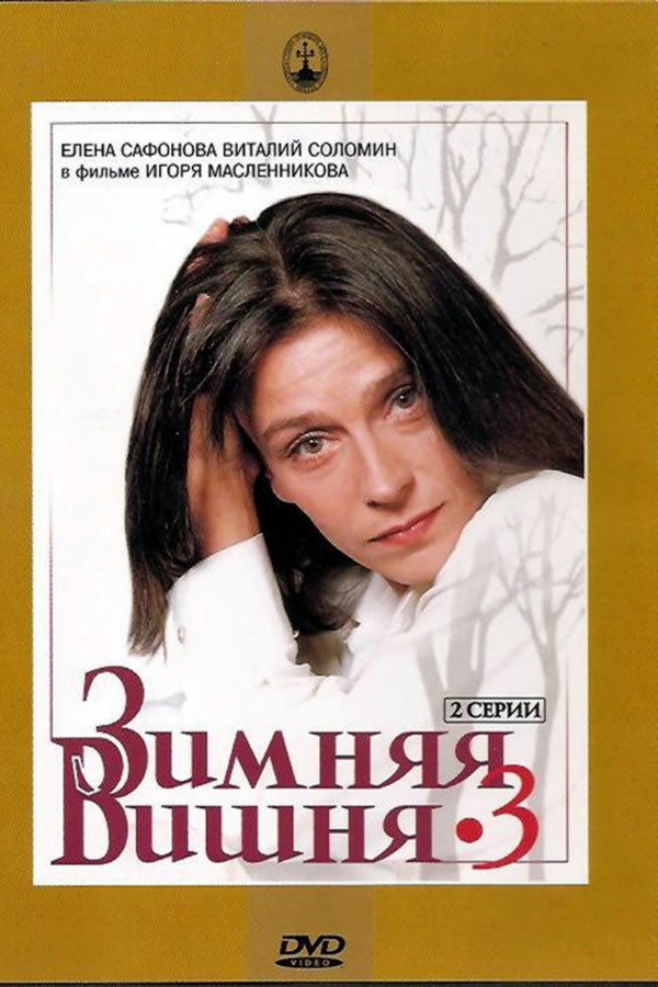Winter Cherry 3 poster