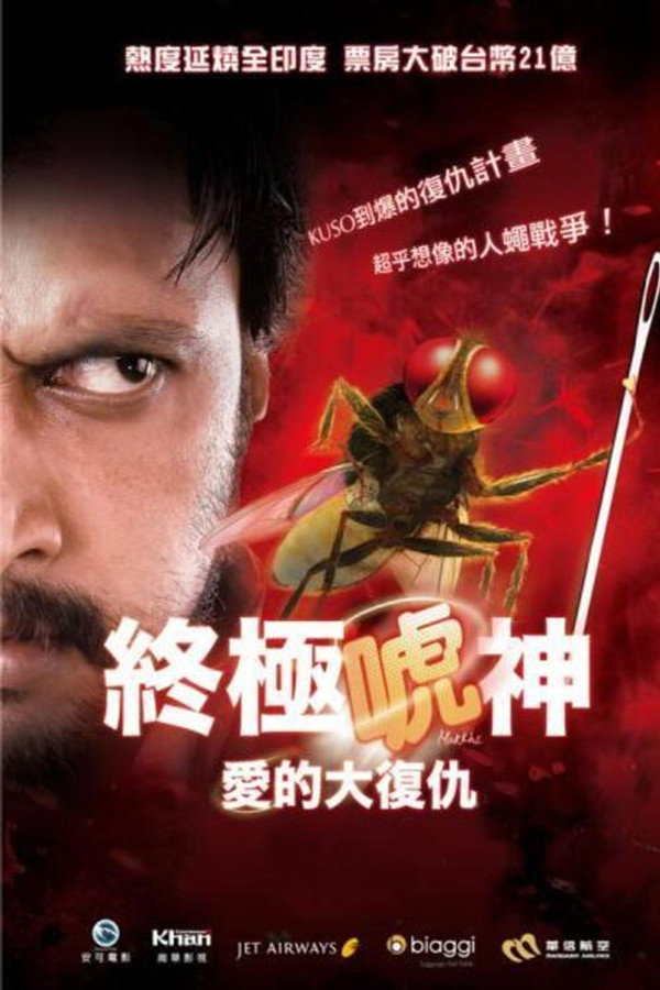 功夫小蝇