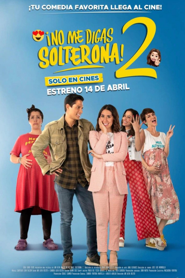 Don't Call Me Spinster 2 poster