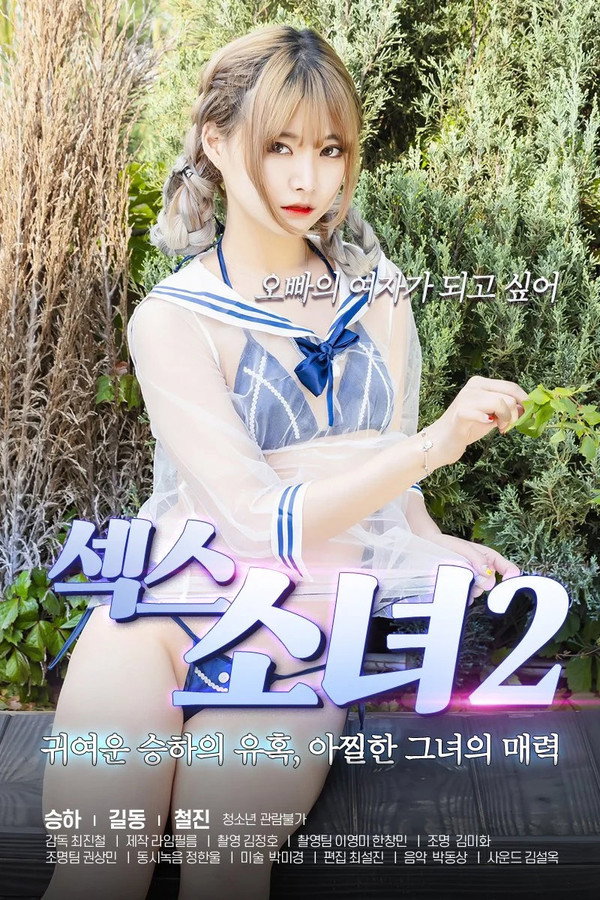 性感女郎2 海报