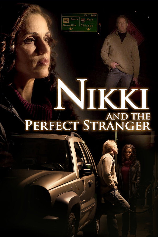 Nikki and the Perfect Stranger 海报