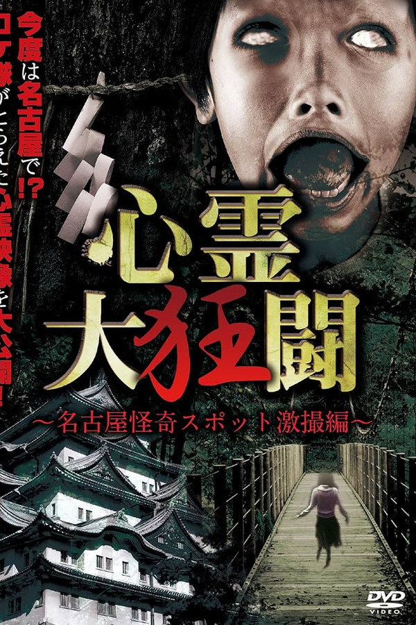 心霊大狂闘 ～名古屋怪奇スポット激撮編～ 海报