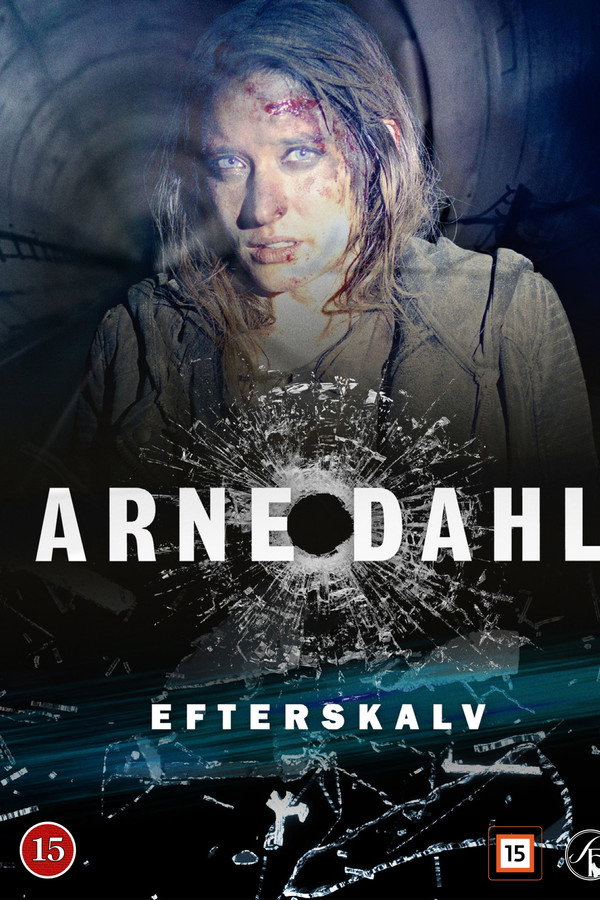 Arne Dahl 09 - Afterquake poster