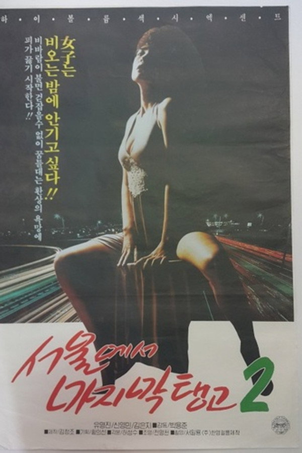 Last Tango in Seoul 2 poster