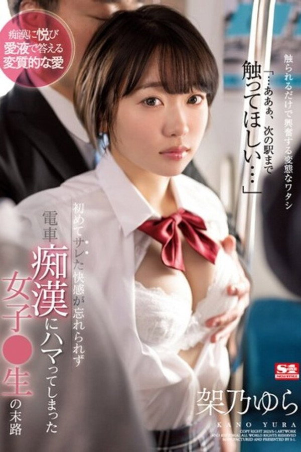 初めてサレた快感が忘れられず電車痴●にハマってしまった女子●生の末路 架乃ゆら 海报