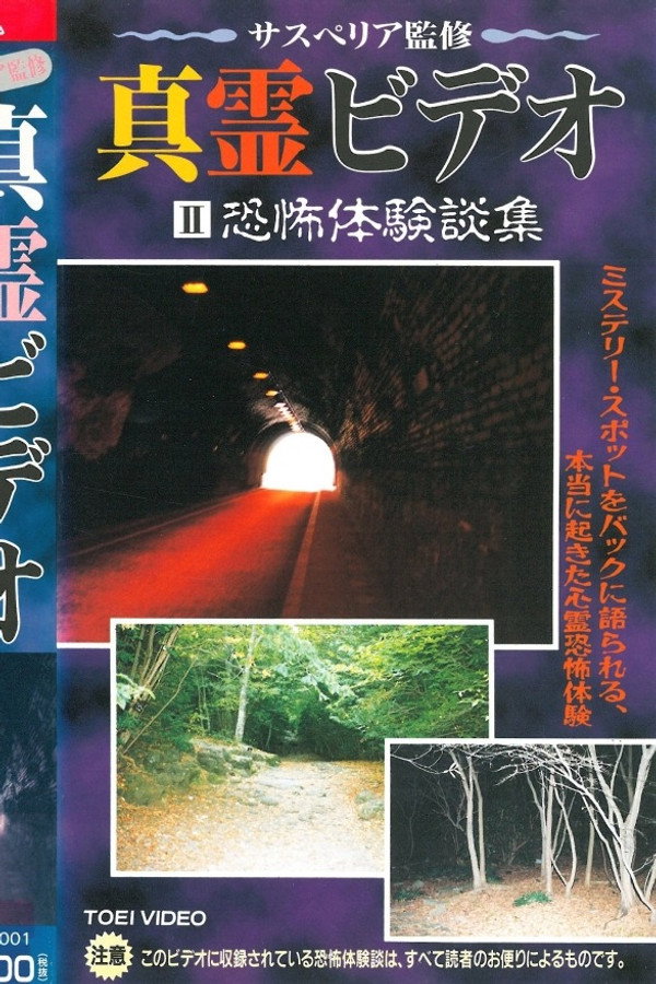 Shin rei bideo II: Kyôfu taikendan-shuu poster