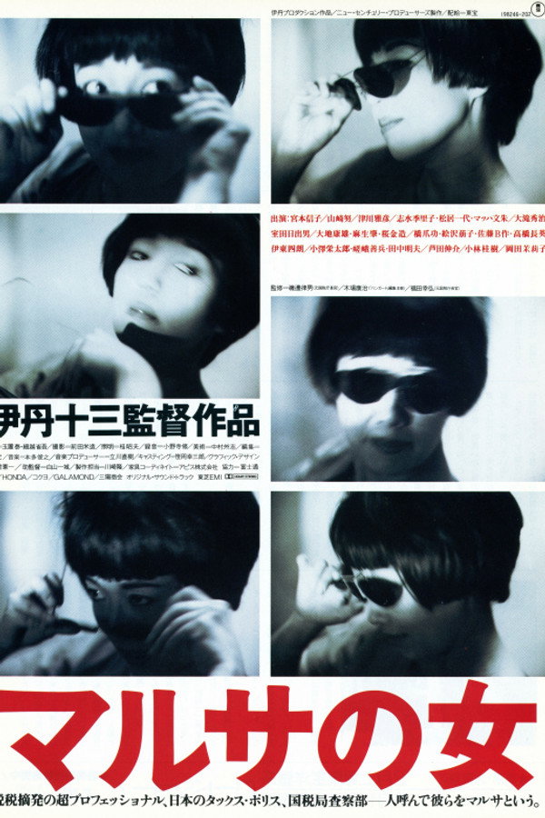 女税务官 海报