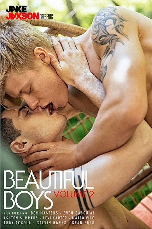 Beautiful Boys 2 海报