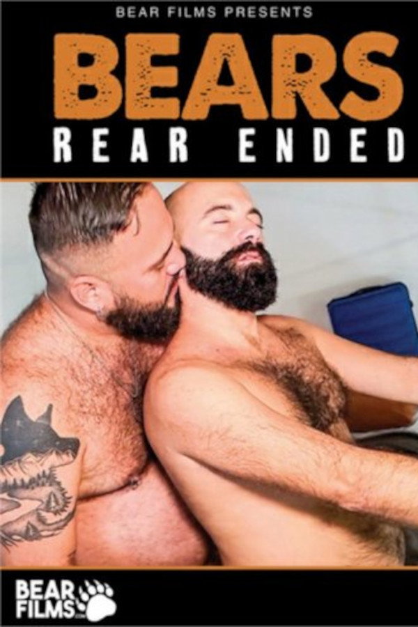 Bears Rear Ended 海报