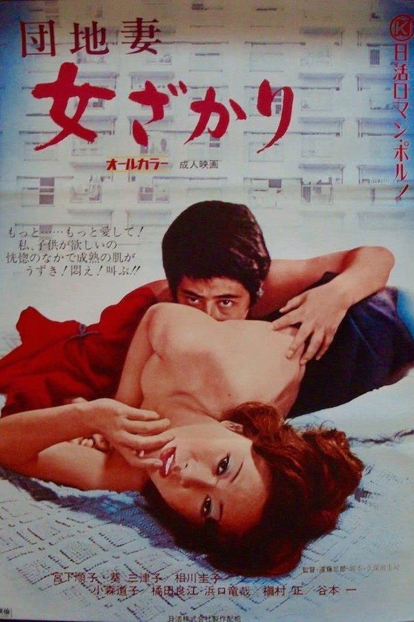 团地妻：盛开的女人 海报