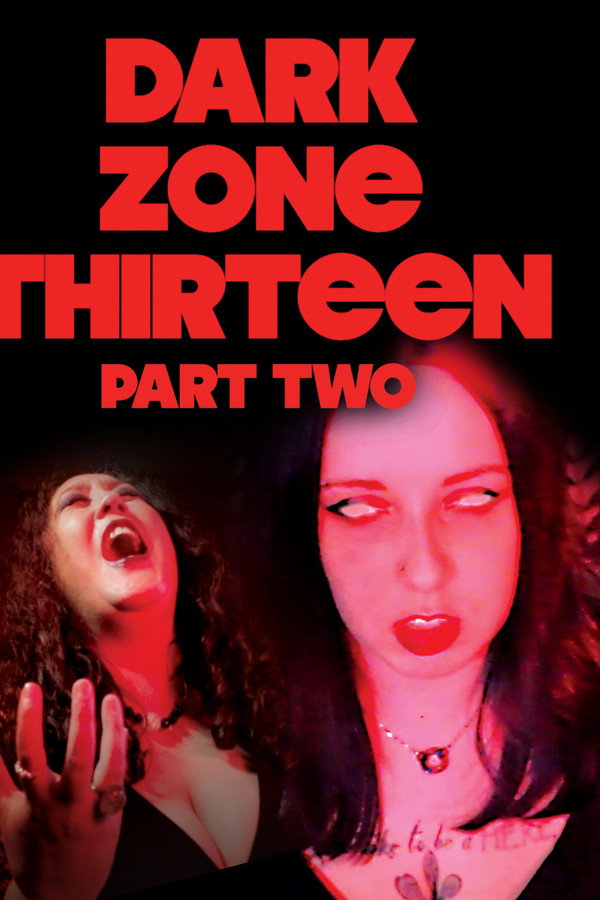 Dark Zone Thirteen Part 2 海报