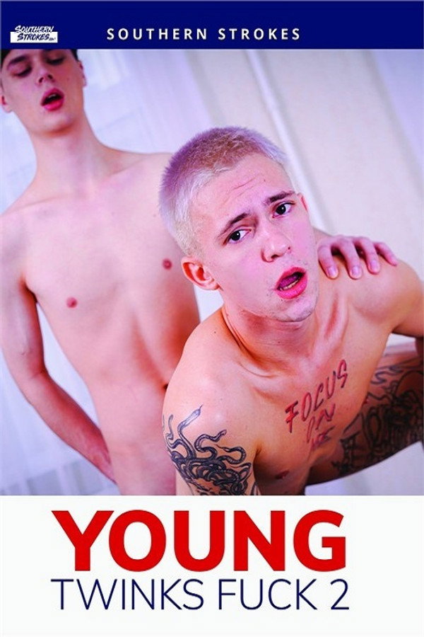 Young Twinks Fuck 2 海报