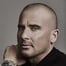 Dominic Purcell