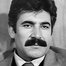 Hikmet Taşdemir