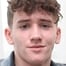 Art Parkinson