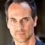 Todd Stashwick