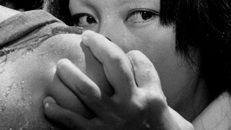 Rashomon backdrop 9