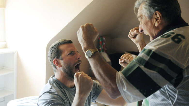 Silver Linings Playbook backdrop 1