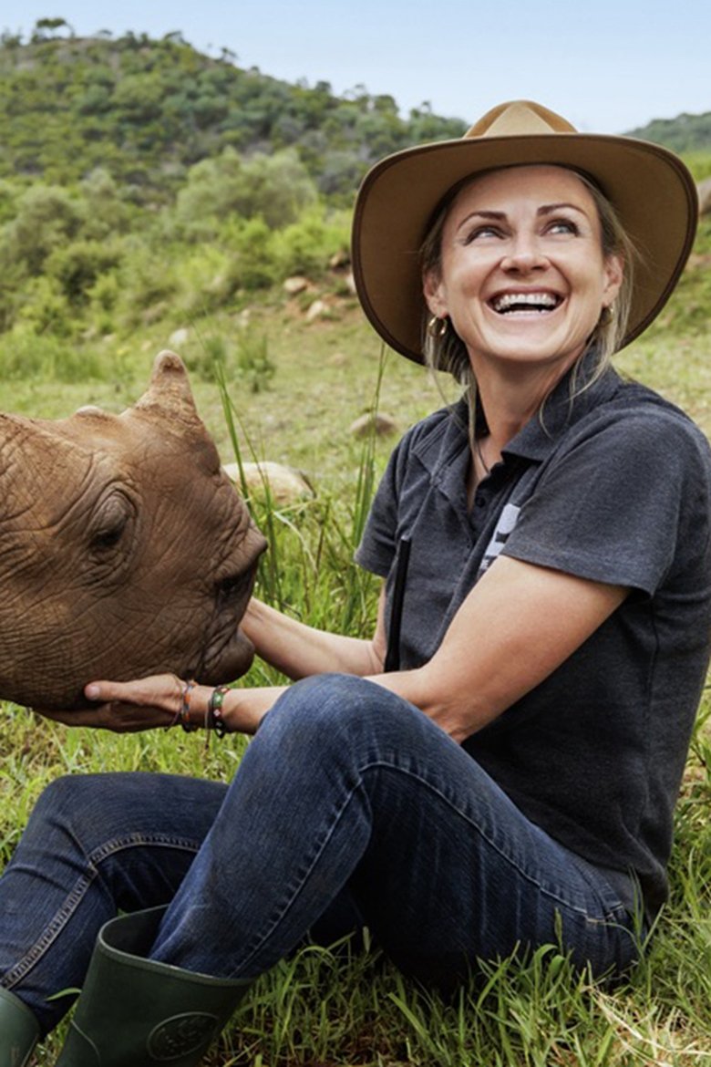 Wild Life - Rhinos