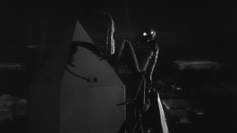 The Deadly Mantis backdrop 2