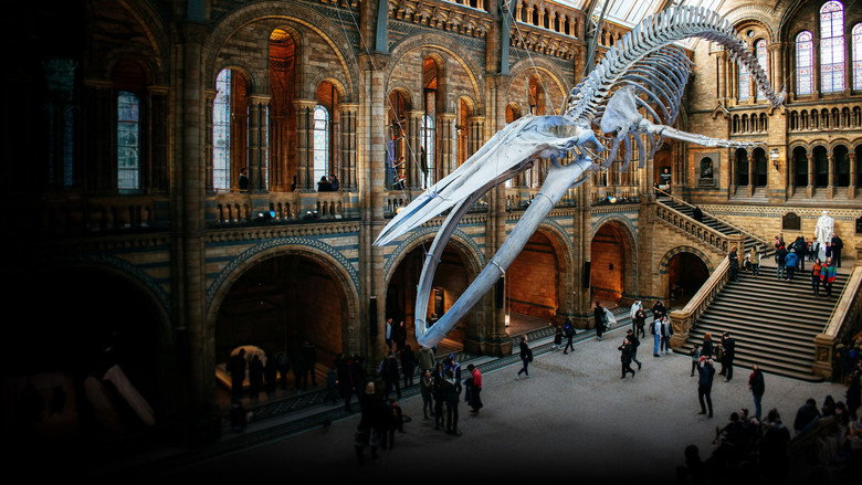 Natural History Museum: World of Wonder backdrop 1