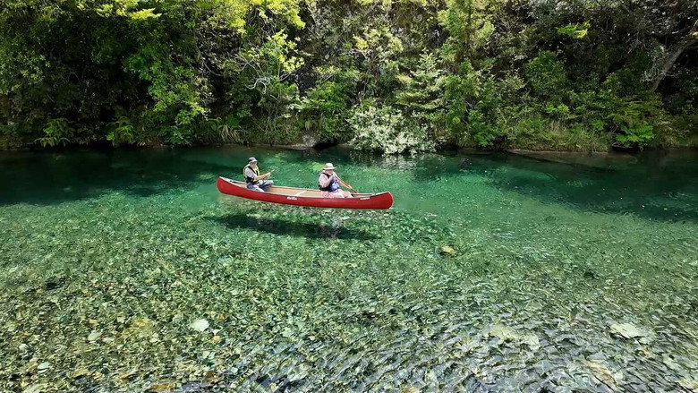 Kihoku: A Wonderful Waterside World
