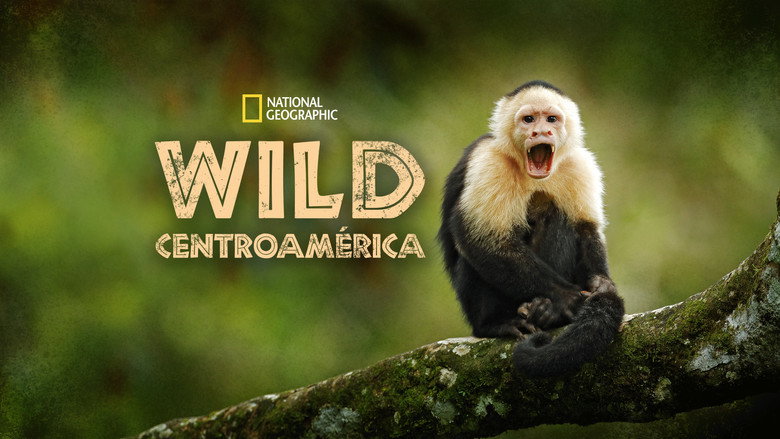 Wild Central America backdrop 8