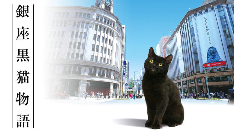Ginza Black Cat Story backdrop 1
