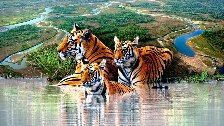 Tiger Island backdrop 1