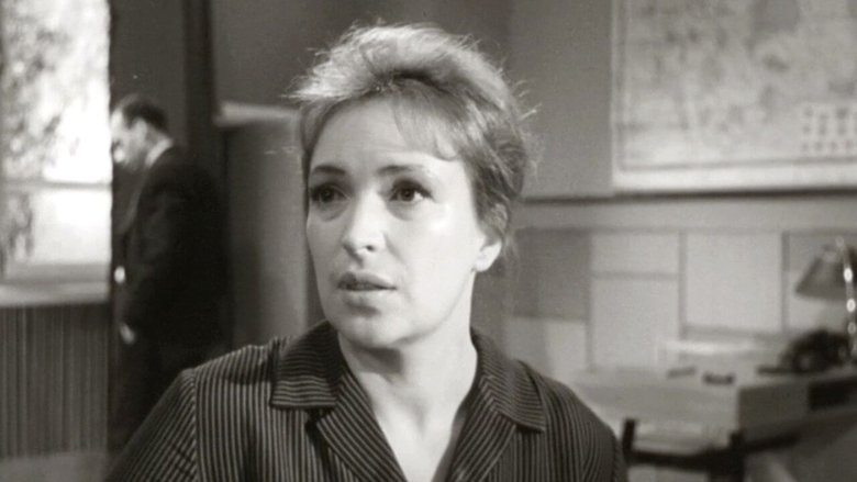 Ari Vakser
